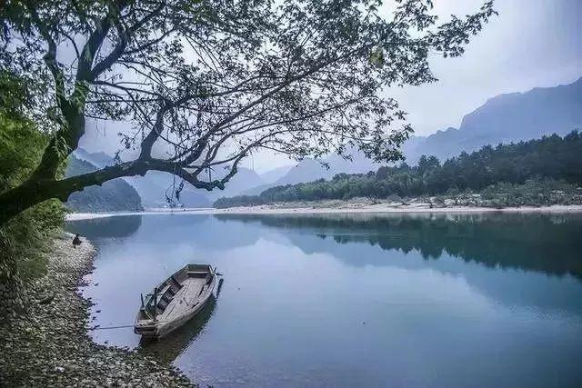 虫虫助手下载