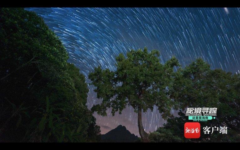 五彩鹦鹉救援