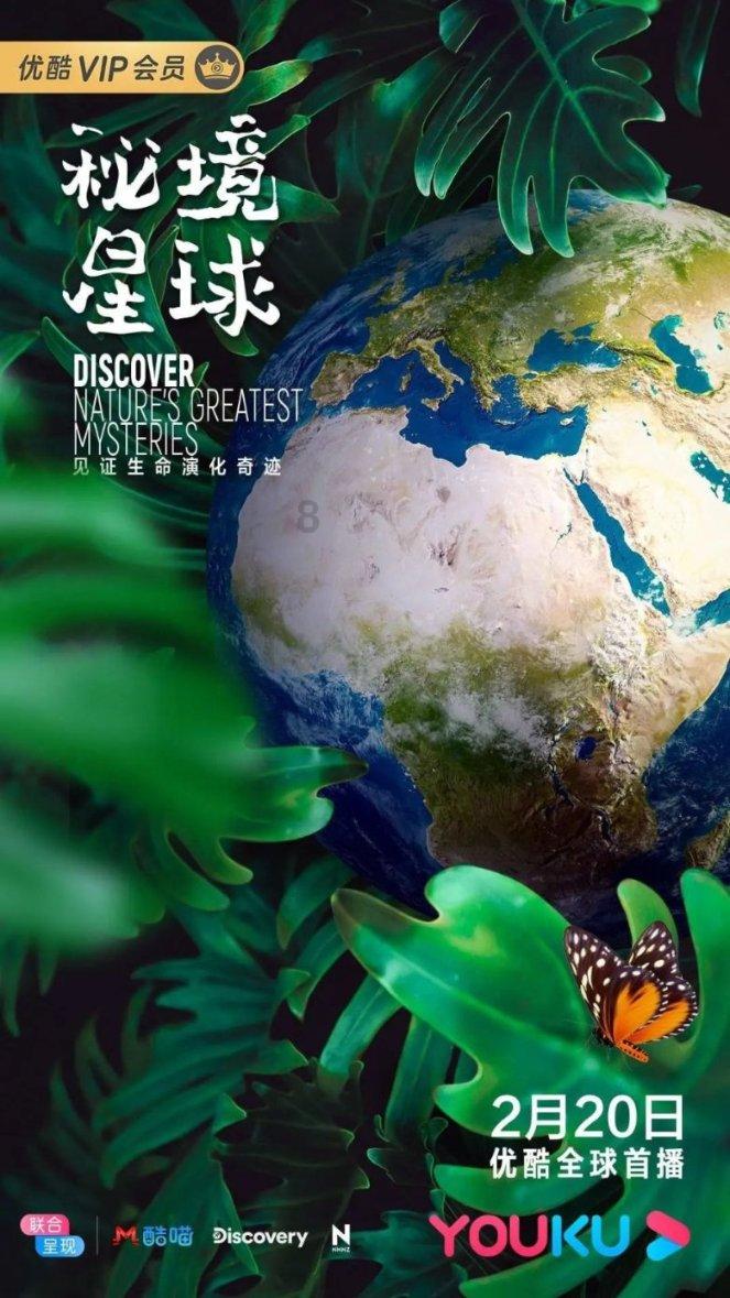 整牙可以用冲牙器吗?牢记三大槽点骗局不踩雷!