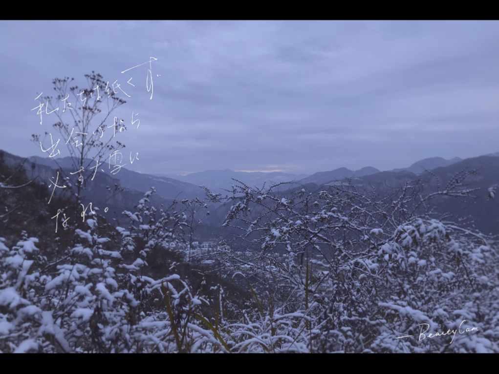 今年这么流行千层蛋糕吗?