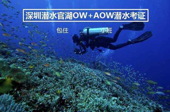 塞尔达荒野之息