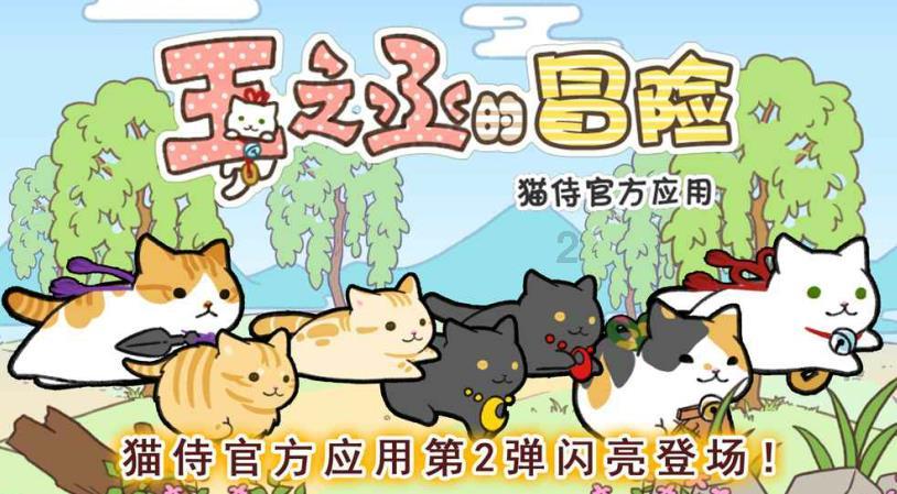 抢抓园博园建设重大机遇 掀起“园林强城”建设热潮