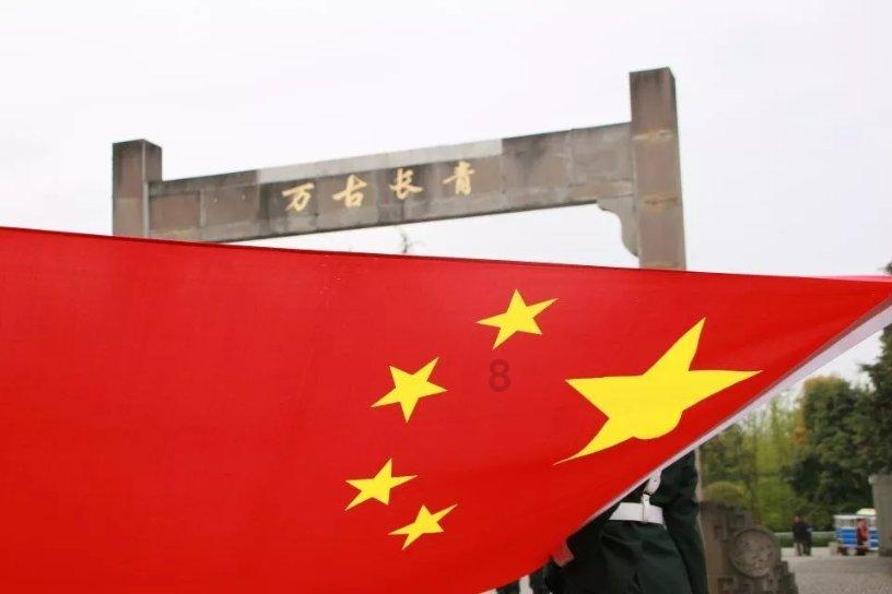 呆萌动物对对碰