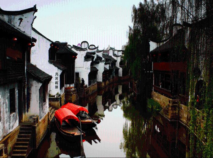 救援受困的火鸡